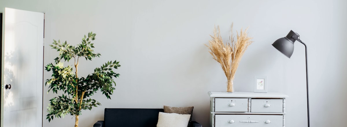 Bright, refreshed living room interior